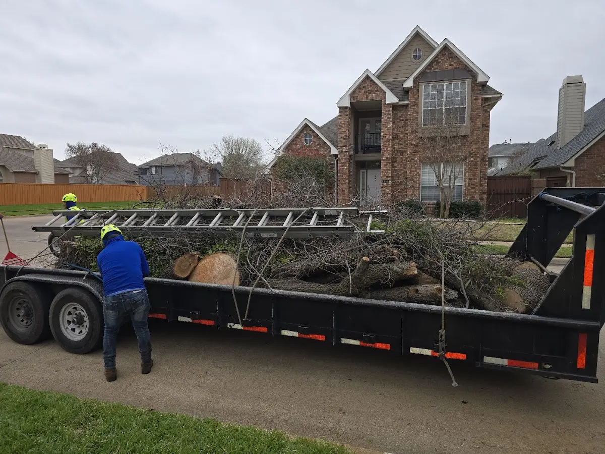 Expert Lot Clearing with proper safety equipment in Spout Spring
